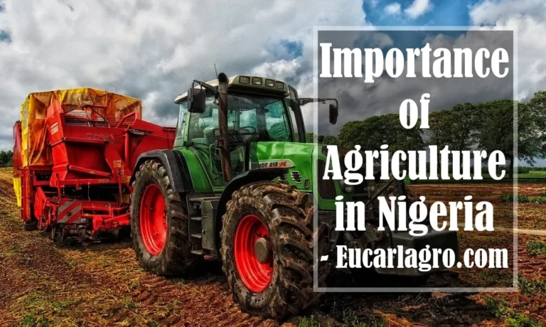 10 Importance of Agriculture in Nigeria