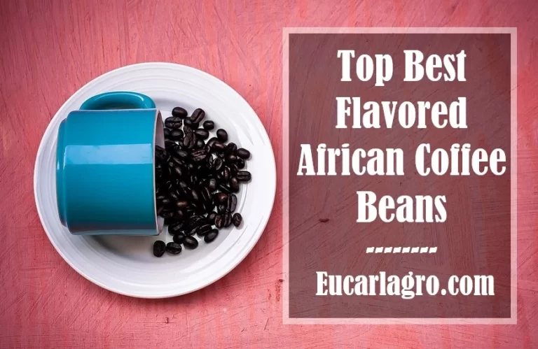 Top 10 Best-Flavored African Coffee Beans