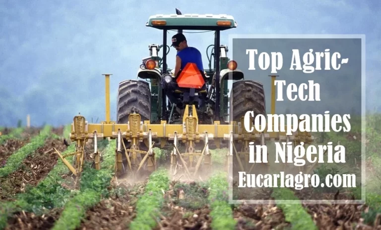 Top 7 Agritech Companies in Nigeria