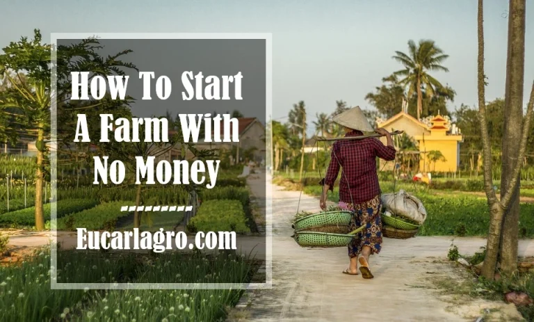 How To Start A Farm With No Money