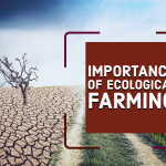 Importance Of Ecological Farming