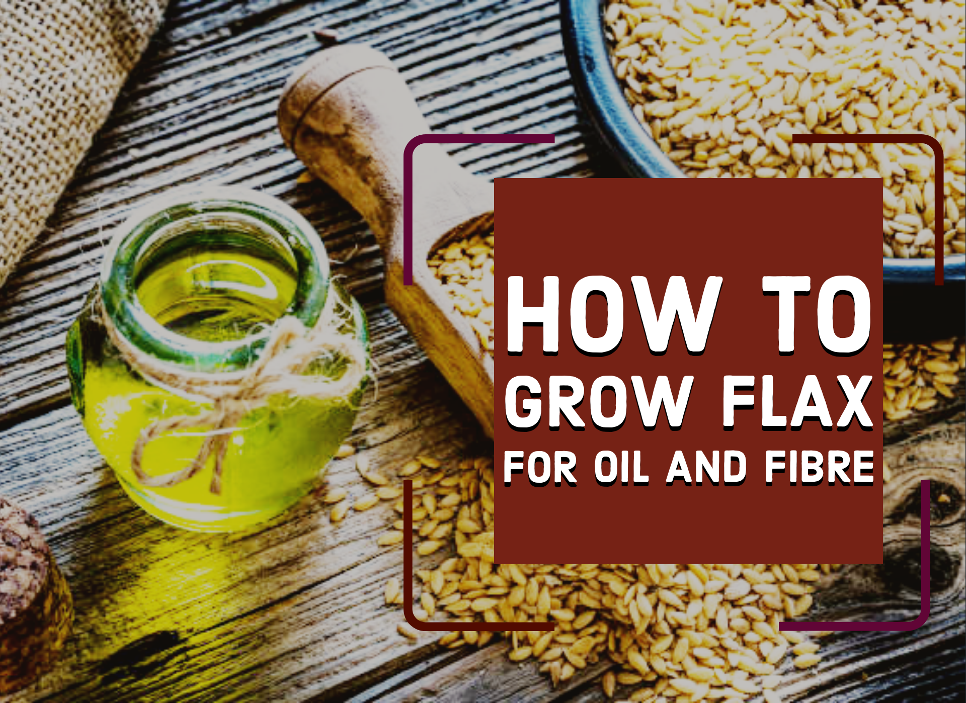 How to grow flax for oil and fibre