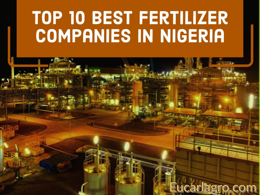 top-10-best-fertilizer-companies-in-nigeria-2024