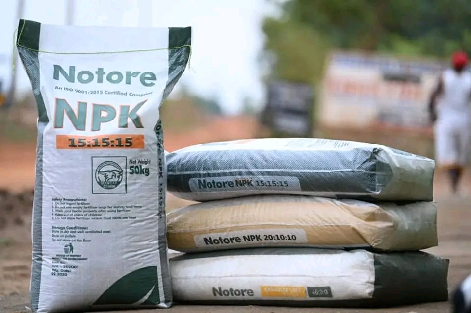 Top 10 Best Fertilizer Companies in Nigeria: Notore Chemical Industries Plc.