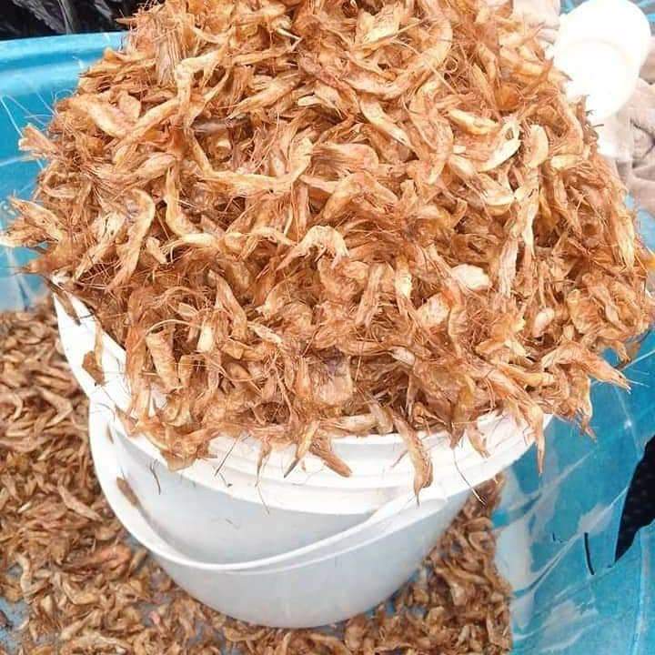 Start Crayfish Business In Nigeria